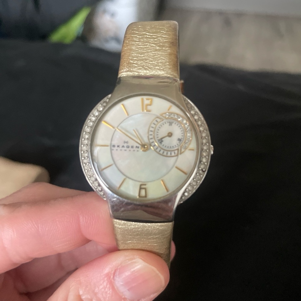 Skagen Gold and Silver Watch